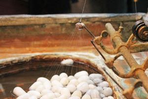 매우 가는 고치실 수십 가닥을 꼬아서 생사를 만드는 과정