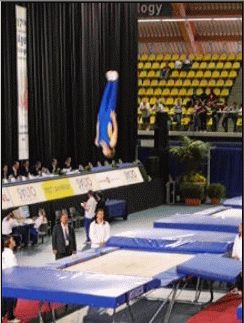 트램펄린 경기(개인 경기)