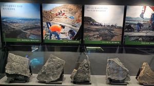 화석 발굴 과정.