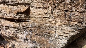 합천 배티셰일동굴 부근 등산로에 드러난 진주층