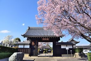 이누야마 성 제1 흑문이 이축된 덕림사(아이치현 오구치정)(토쿠린지) 산문