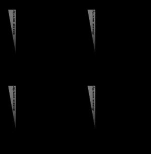 종양 억제 모델