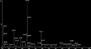 펩타이드 혼합물의 질량 분석 결과