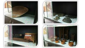 2013년 11월 17일, 한국 서울의 경희대학교에서. "인간을 바라보는 다른 관점"