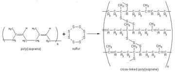 폴리이소프렌에 대한 가황 개략도