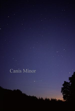 맨눈으로 볼 수 있는 작은개자리