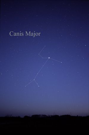 맨눈으로 볼 수 있는 큰개자리의 별들; 선은 명확성을 위해 추가되었다.