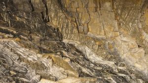 충주 활옥동굴 내 습곡 좌익