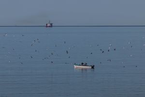 랑스 오 루에서 본 풍경