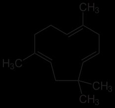 후물렌(Humulene), 세스퀴테르펜(sesquiterpene)이다.
