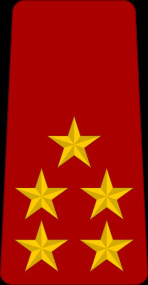 차드 육군 대장 계급장