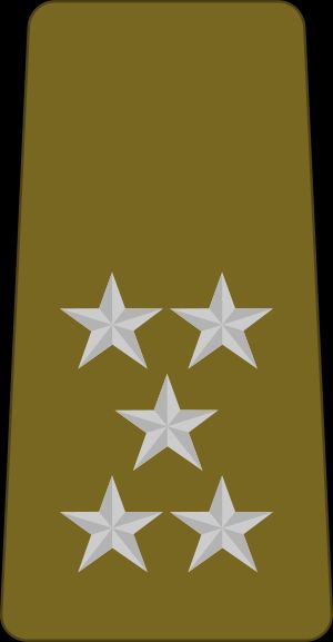 기니 육군 대장 계급장