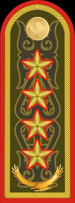 카자흐스탄 육군 대장 계급장