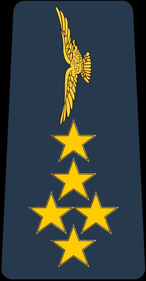 가봉 공군 대장 계급장