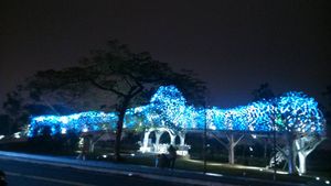 란탄·월영담심