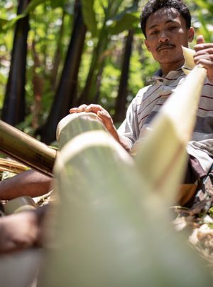 4. 안쪽 층에는 이차 섬유와 펄프질 물질이 들어 있다.