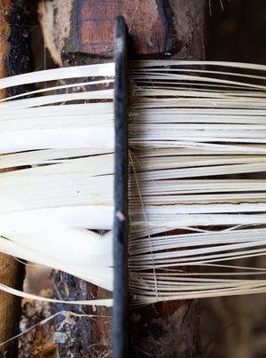 6. 그런 다음 섬유를 "빗질"하여 분리한다.