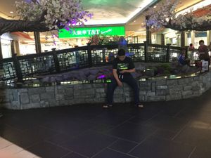 2017년 6월 8일 차이나타운