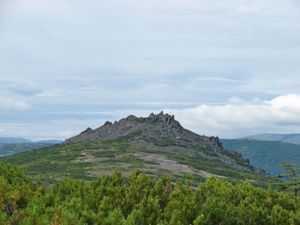 고로호보예 폴레(Gorokhovoe Pole)