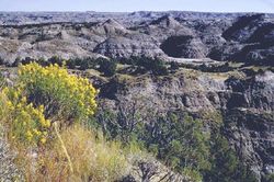 시어도어 루스벨트 국립공원 내 악지