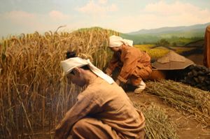 제주박물관에 전시된 갈옷