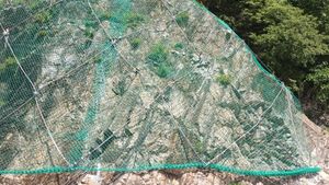 영월군 남면 북쌍리 남애 단면의 문곡층