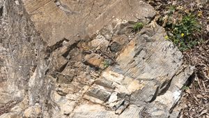 영월군 남면 북쌍리 남애 단면의 문곡층/와곡층 경계