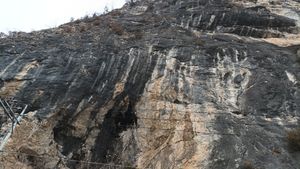 동강로 도로변의 영흥층 노두