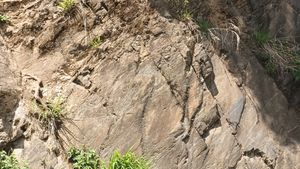 제천시 금성면 월굴리, 지방도 제532호선 도로변의 삼태산층 석회암