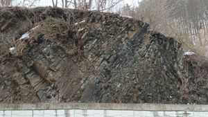 평창군 대화면 개수리 62 도로변의 층상암 노두, 층리는 동쪽으로 경사