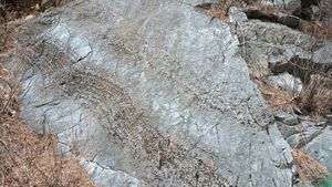 정선군 남면 무릉리, 지방도 제421호선 도로변의 풍촌 석회암층 노두