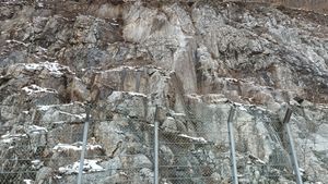 정선군 남면 무릉리, 지방도 제421호선 도로변의 풍촌 석회암층 노두