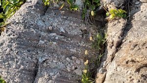 울련산층 퇴적암과 역암