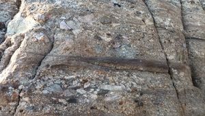 울련산층 퇴적암과 역암