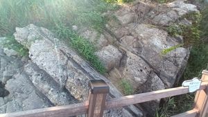 울련산층 퇴적암에 발달한 타포니 구조