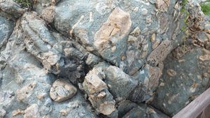 울련산층 퇴적암