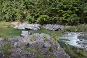 울진군 금강송면 광회리 회룡천 하상