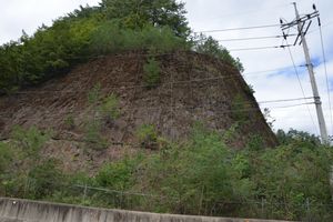 울진군 금강송면 쌍전리 산 150-10