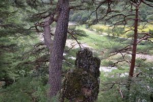 울진군 금강송면 삼근리 사랑바위 (도로명주소: 울진군 금강송면 불영계곡로 1800)