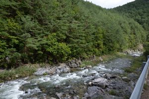 울진군 금강송면 광회리 회룡천 하상