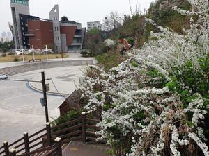 수봉도서관 측면