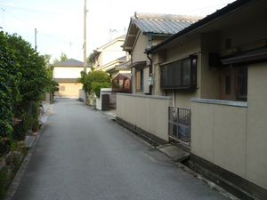 택지화된 신성 곡륜 터