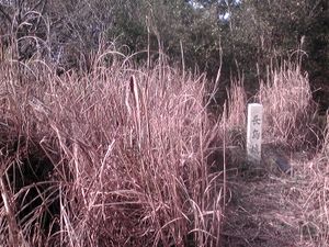 나가시마성의 혼마루 터