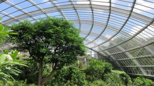 곤충 생태원을 덮는 유리 돔