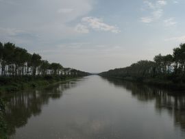 중앙 간선 배수로