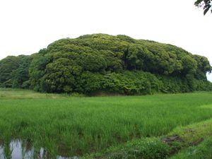다이리쓰카 고분군（이나리야마 고분）