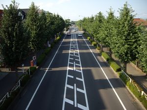 조소 후레아이 도로