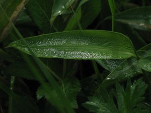 반역광이 되도록 카메라를 잡고, 피사체의 반사를 이용하여 촬영하는 방법도 있다.