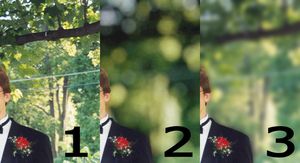 왼쪽부터: 보케 또는 흐림 효과가 없는 원본 사진, 배경에 합성 보케 효과를 적용한 동일한 사진, 배경에 가우시안 블러를 적용한 동일한 사진