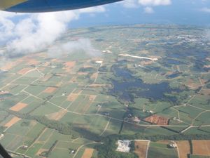 경작지의 대부분을 차지하는 사탕수수밭
